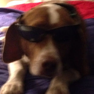 Meet your Posher, Graham